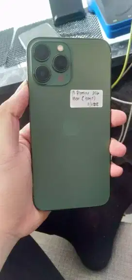 IPHONE 13 PM 256 GB IBOX