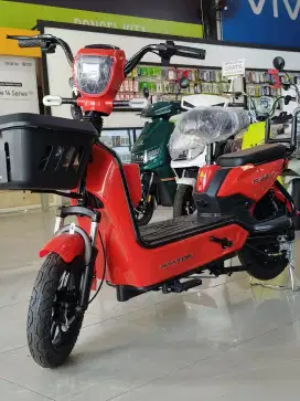 SEPEDA LISTRIK AT 225