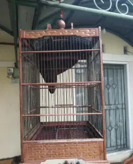 Kandang Burung Kayu Kotak Ukir