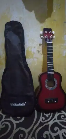 Gitar allegro mini