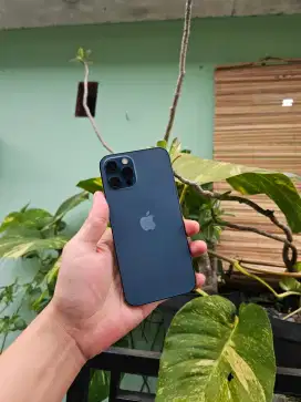 Iphone 12 Pro 128 Gb Beacukai