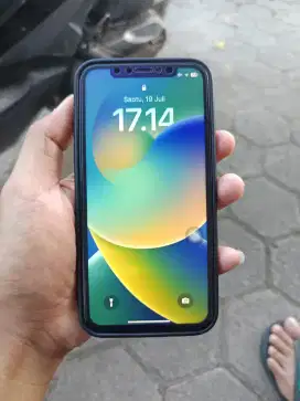 Iphone x 256 inter