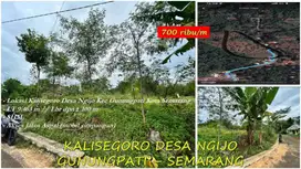 Tanah Pekarangan Gunungpati Semarang lokasi Kalisegoro Desa Ngijo