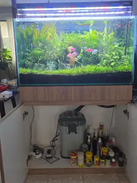 Aquarium Aquascape plus Stand