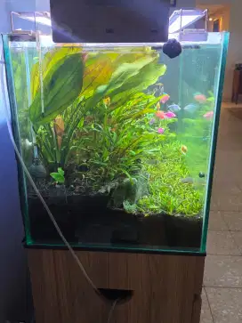 Aquarium Aquascape plus Stand