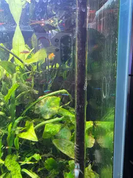 Aquarium Aquascape plus Stand