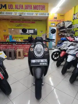 Honda Scoopy stylish tahun 2017
