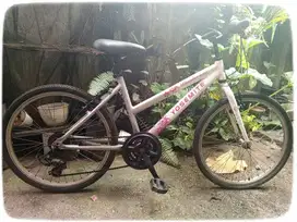 Sepeda Anak mtb united