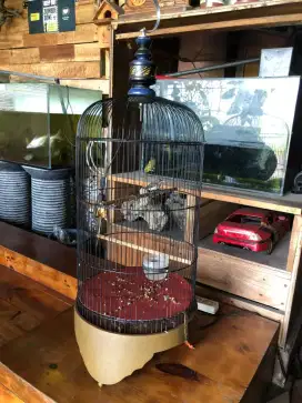 Sangkar labet tebok kayu + cit trotol