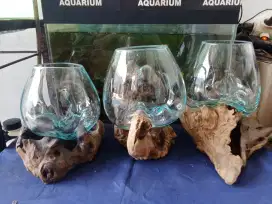 Aquarium akar 3pics