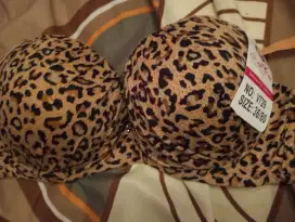 Jual pakaian dalam dan celana dalam