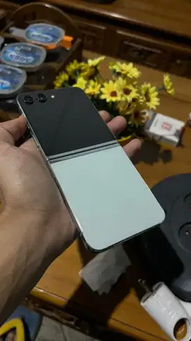 Z flip 5 8/512 sein TT masuk