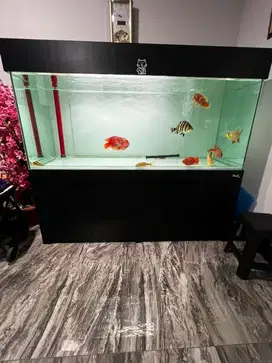 Jual aquarium 200x80x80