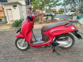 HONDA SCOOPY STYLISH 2024 PAJAK PANJANG