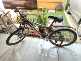 Sepeda Gunung MTB Evergreen Ranger EG 255 Warna Hijau