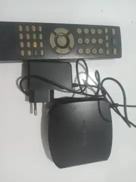 Stb polytron normal