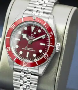 Tudor Black Bay 58 Burgundy 5 Link