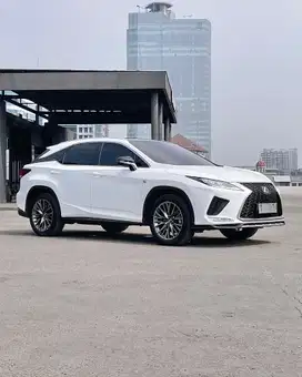 RX300 F-Sport 2020
