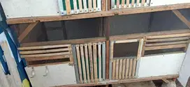 Jual kandang ayam