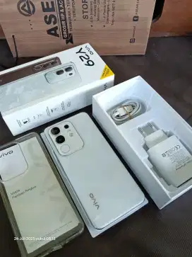 Vivo Y29 8/256 white