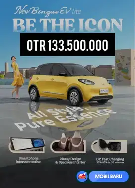 [Mobil Baru] New Binguo ev Baru