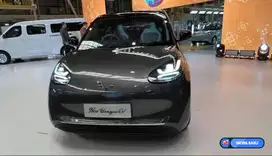 [Mobil Baru] New Binguo EV model terbaru 2025