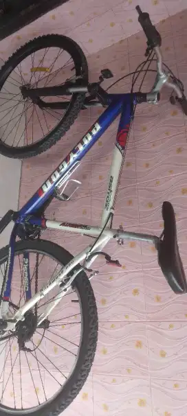Mtb polygon Astrozz