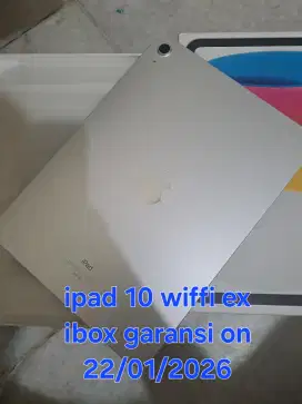 Ipad gen 10 wiffi ex ibox garansi on lama