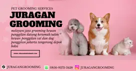 JURAGAN GROOMING DOG CAT PANGGILAN JAKARTA TANGERANG
