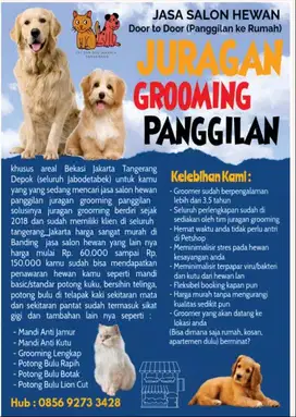 HOME SERVICE GROOMING PANGGILAN CAT&DOG JAKARTA TANGERANG