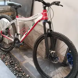 Depeda MTB DAME 26 Size 17 fork on off