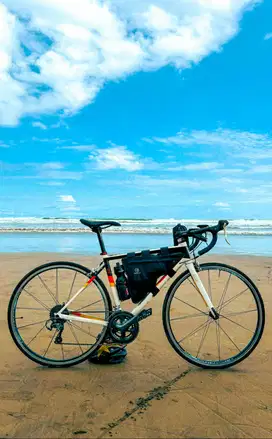 FRAMSET S3 GERMANY+WHEELSET XERO XCR3  ( SIZE 52 )