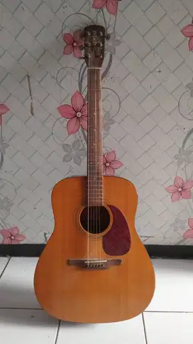 Gitar kopong Yamaha seri alvarez RD 10