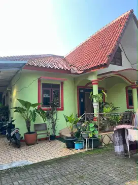 Jual cepat BU - rumah dengan tanah luas 600m2