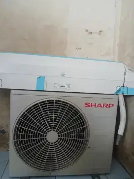 AC Sharp 1/2 Pk