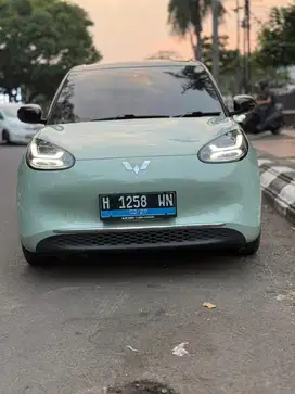WULING BINGUO 410KM AC+DC