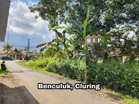 Dijual Tanah dan Bangunan 20 meter jalan provinsi Benculuk Cluring Bwi
