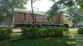 Mencari pekerjaan