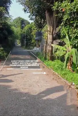 TANAH MURAH TANAH KEBUN STRATEGIS DI GUNUNG SINDUR BOGOR