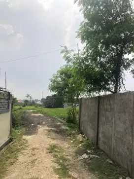 Tanah seseh pererenan