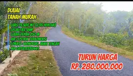 Luas Tanah 13.500 m², Harga 280 Juta enek