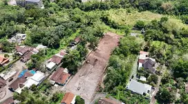 Pekarangan, Profit Lebih Tebal, Cocok Villa