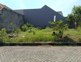 Tanah Mulyosari Prima