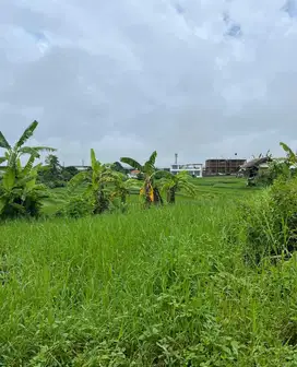 Jual Tanah 1,7are Lingk Villa di Abasan Brawa Canggu