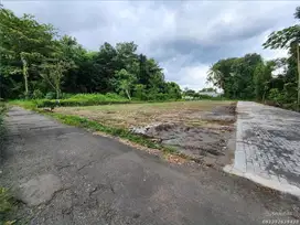 Tanah Jogja Jalan Kaliurang Km 13 SHM Untuk Investasi Atau Bangun Kost