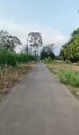 TANAH DIJUAL CEPAT MURAH LOKASI STRATEGIS DI PESAWARAN LAMPUNG