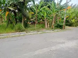 JUAL TANAH DI BENDUNGAN WATES KULONPROGO