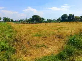 Jual Tanah Bagus. Kotak di Kemang Bogor.