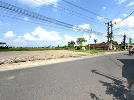 Termurah, Tanah Sleman Jogja Tepi Jalan Aspal