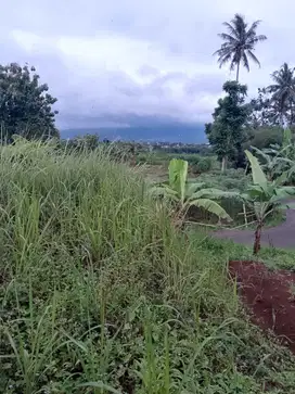 di jual lahan kebun view gunung di Tapos ciawi